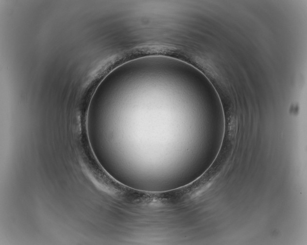 X0000089380254200706221301