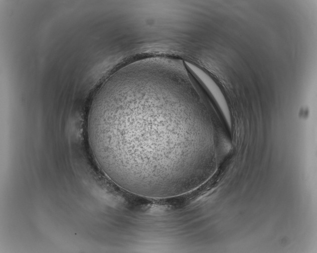 X0000089380255200706221301