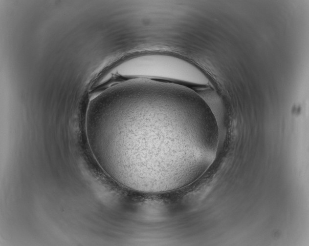 X0000089380256200706221301