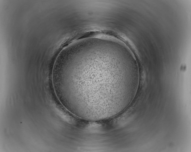 X0000089380257200706221301