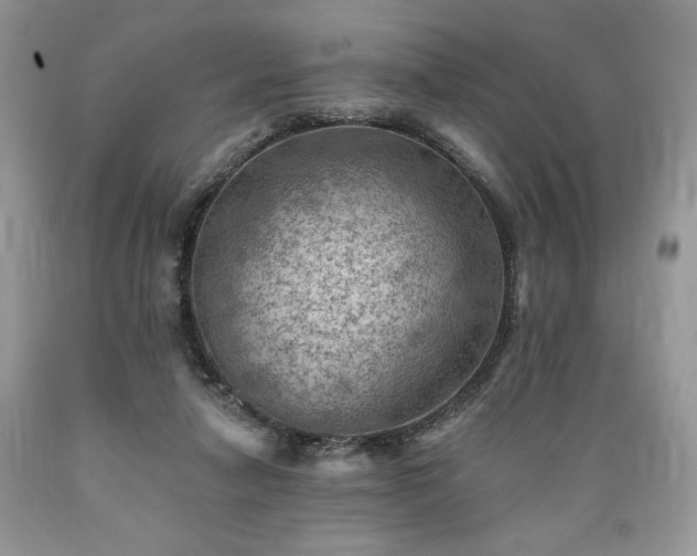 X0000089380258200706221301