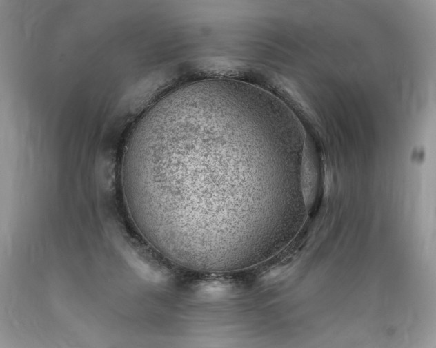 X0000089380259200706221301