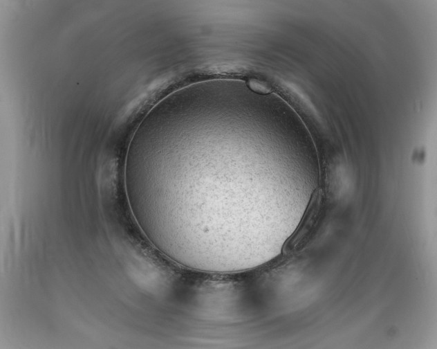 X0000089380260200706221301