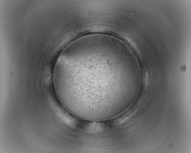 X0000089380261200706221301