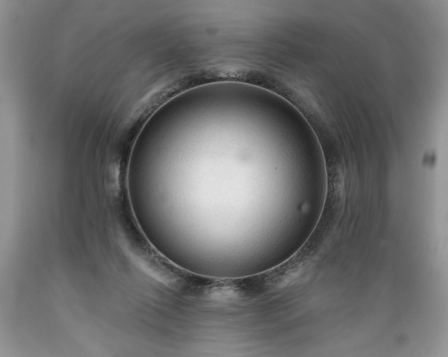 X0000089380262200706221301