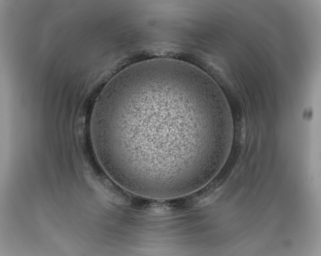 X0000089380263200706221301