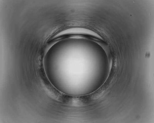 X0000089380264200706221301