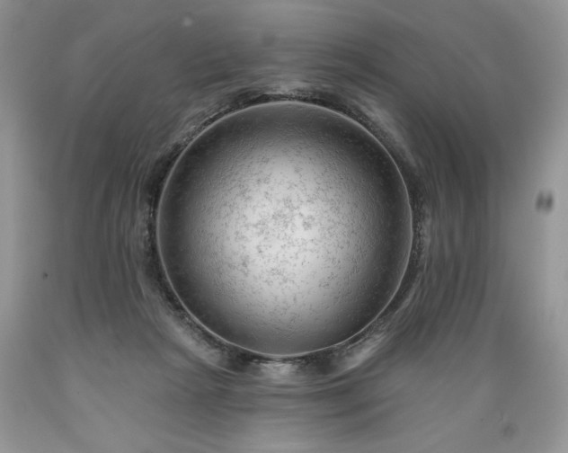 X0000089380265200706221301