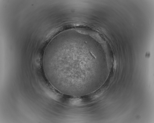 X0000089380266200706221301
