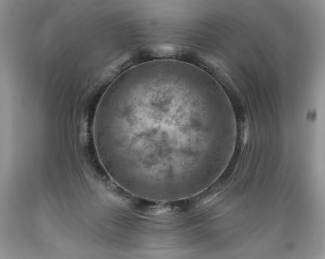 X0000089380267200706221301