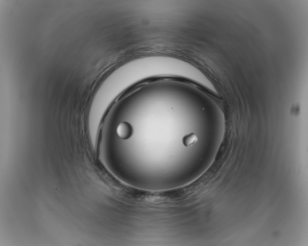 X0000089380268200706221301