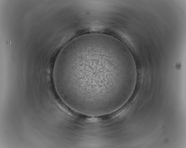 X0000089380269200706221301