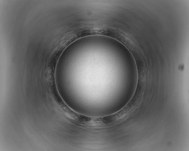 X0000089380270200706221301