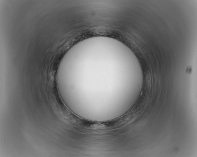 X0000089380271200706221301