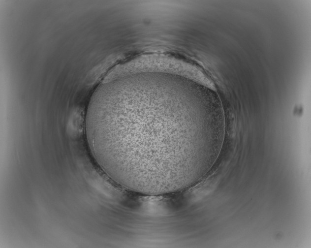 X0000089380273200706221301