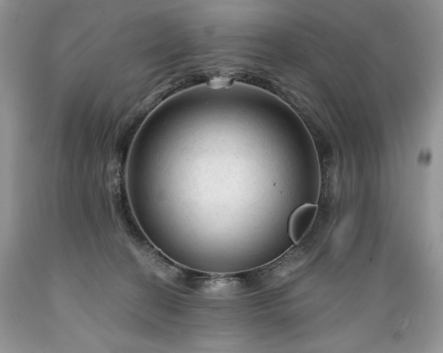 X0000089380274200706221301