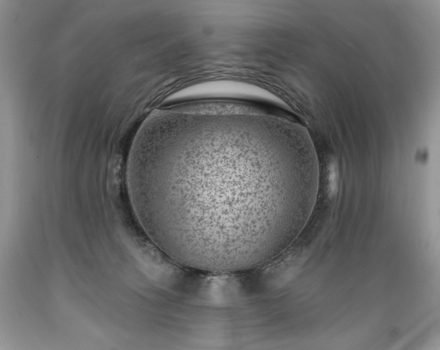 X0000089380275200706221301
