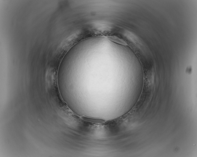 X0000089380276200706221301