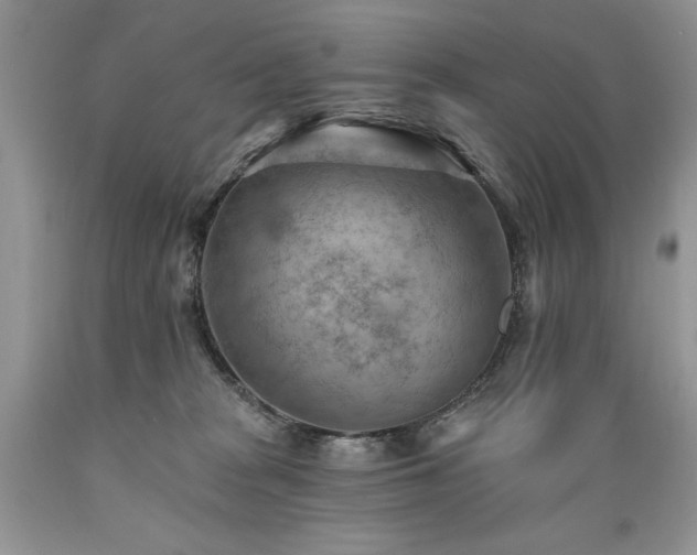X0000089380277200706221301
