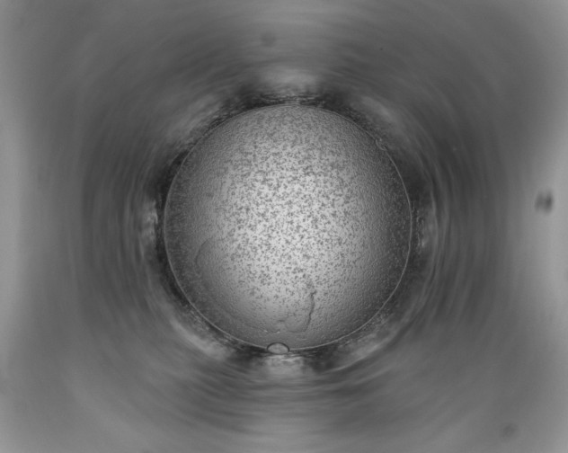 X0000089380279200706221301