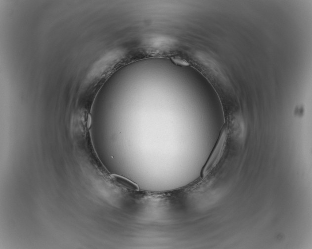 X0000089380280200706221301