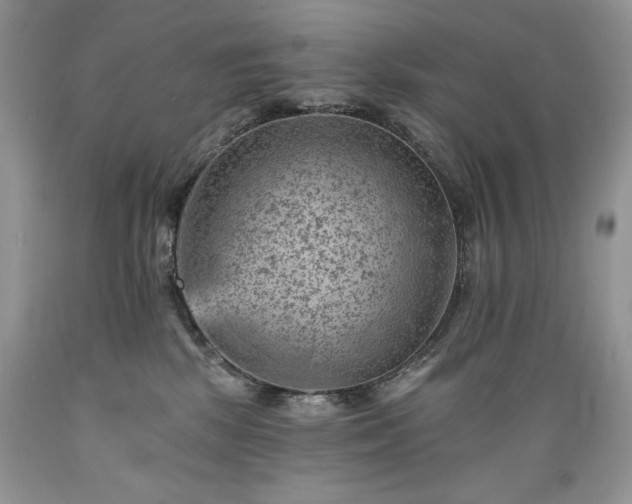 X0000089380281200706221301