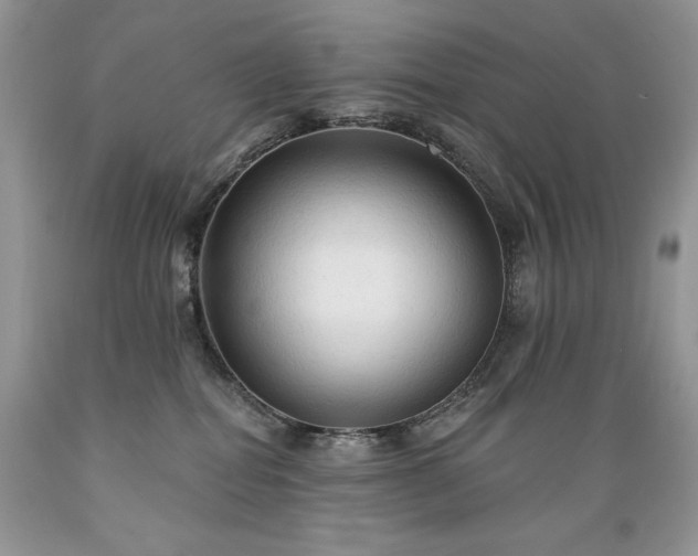 X0000089380282200706221301