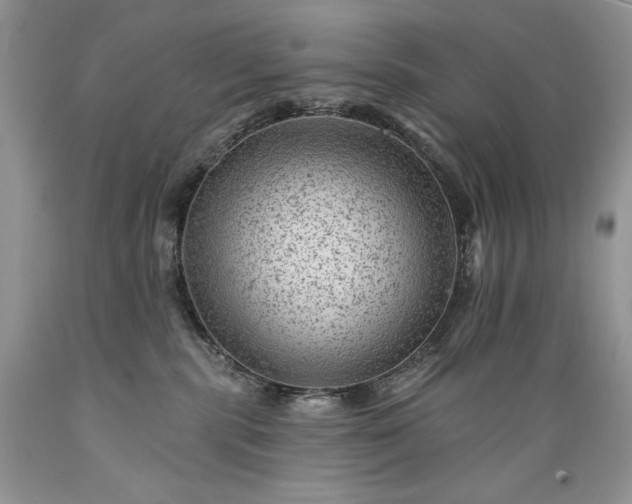 X0000089380283200706221301