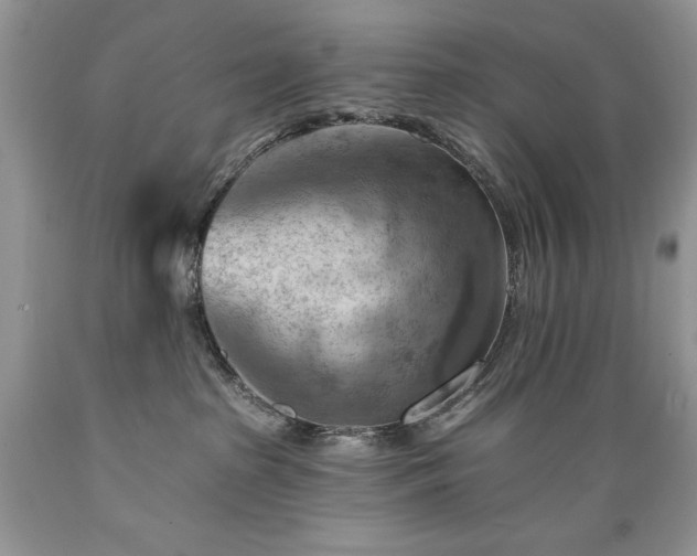 X0000089380285200706221301