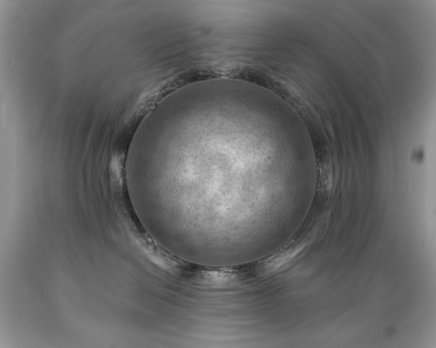 X0000089380286200706221301