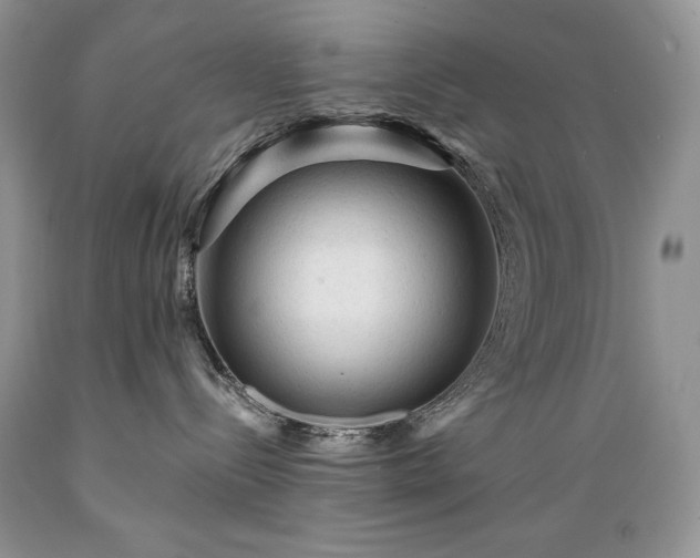 X0000089380288200706221301