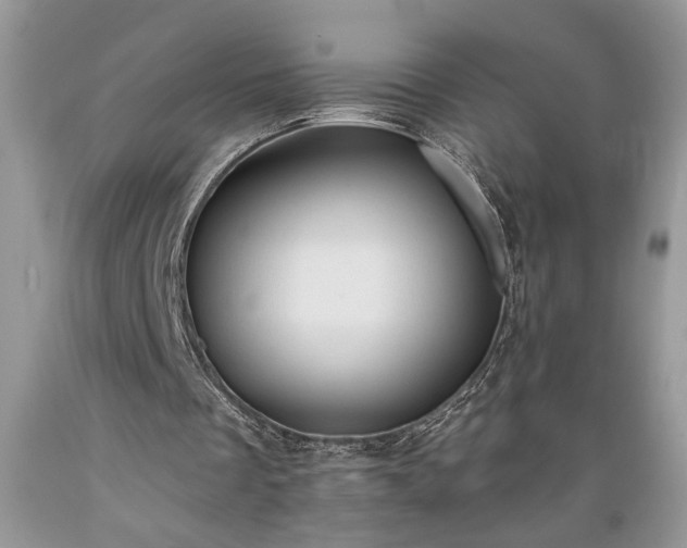 X0000089380289200706221300