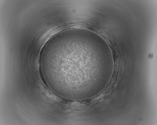 X0000089380290200706221300