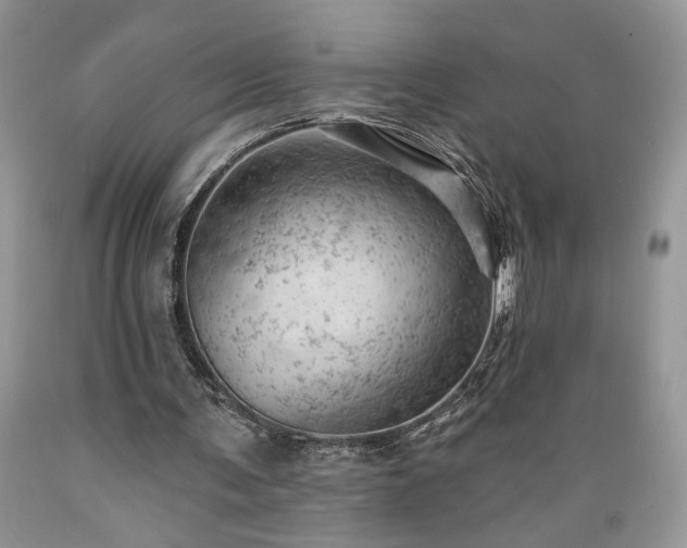X0000089380291200706221300