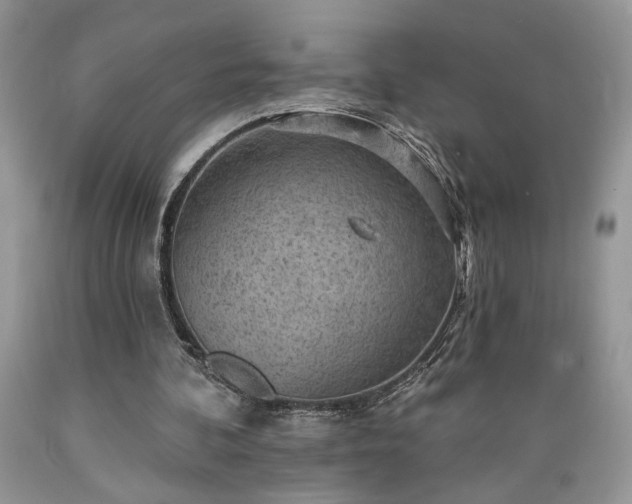 X0000089380292200706221300