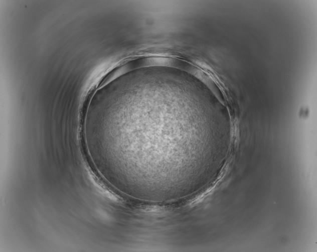 X0000089380293200706221300