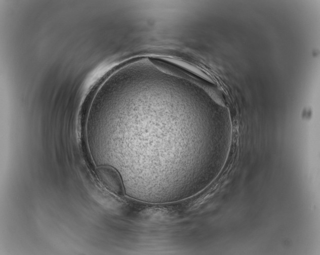 X0000089380294200706221300
