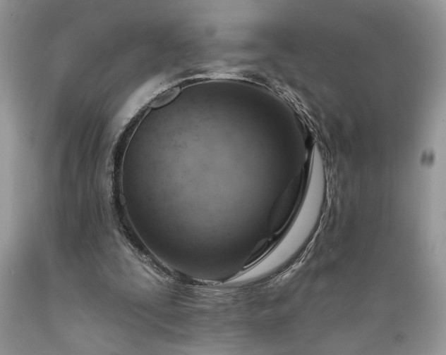 X0000089380295200706221300