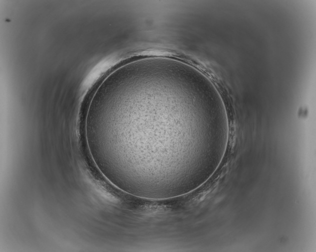 X0000089380296200706221300