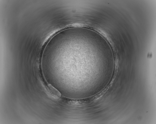 X0000089380297200706221300