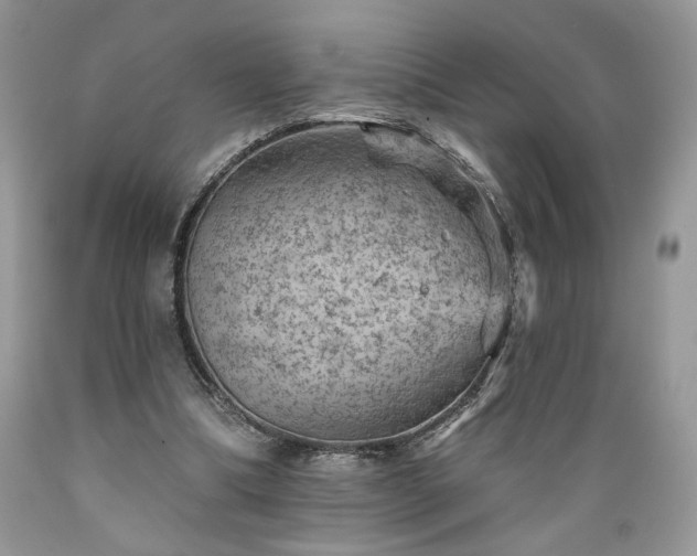 X0000089380298200706221300