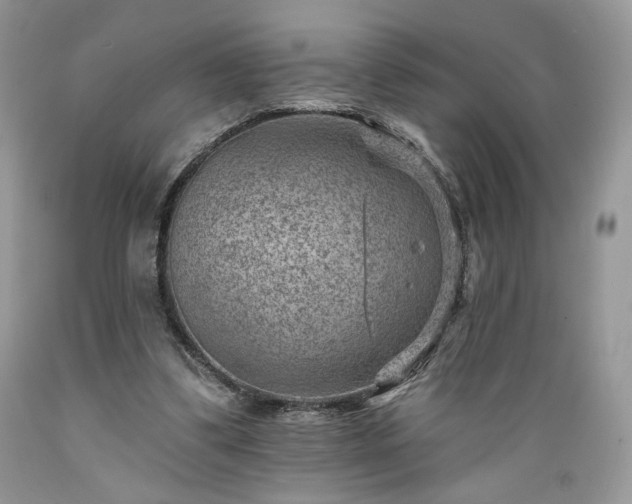 X0000089380299200706221300