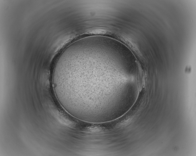 X0000089380300200706221300
