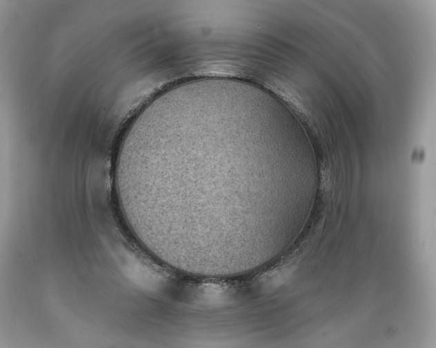 X0000089380302200706221300
