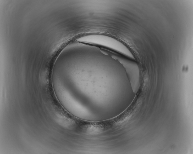 X0000089380303200706221300