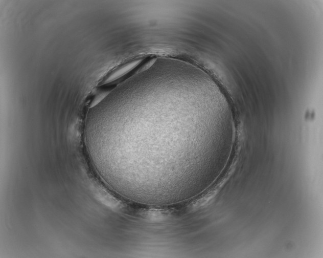 X0000089380305200706221300
