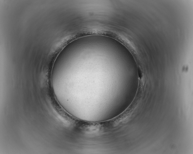 X0000089380306200706221300