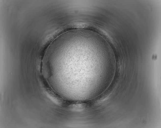 X0000089380307200706221300