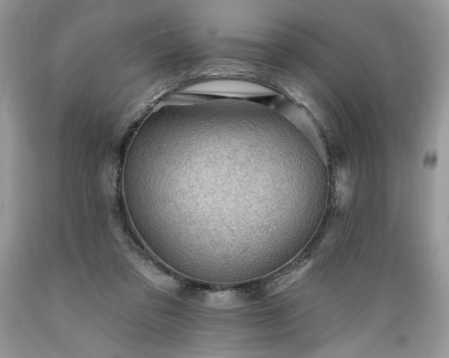 X0000089380309200706221300