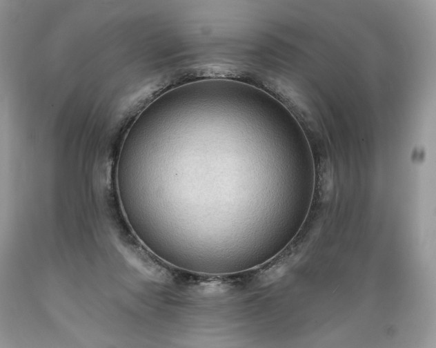 X0000089380310200706221300